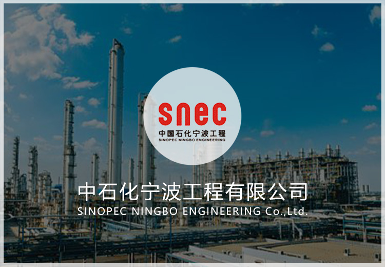 设计集成系统咨询项目